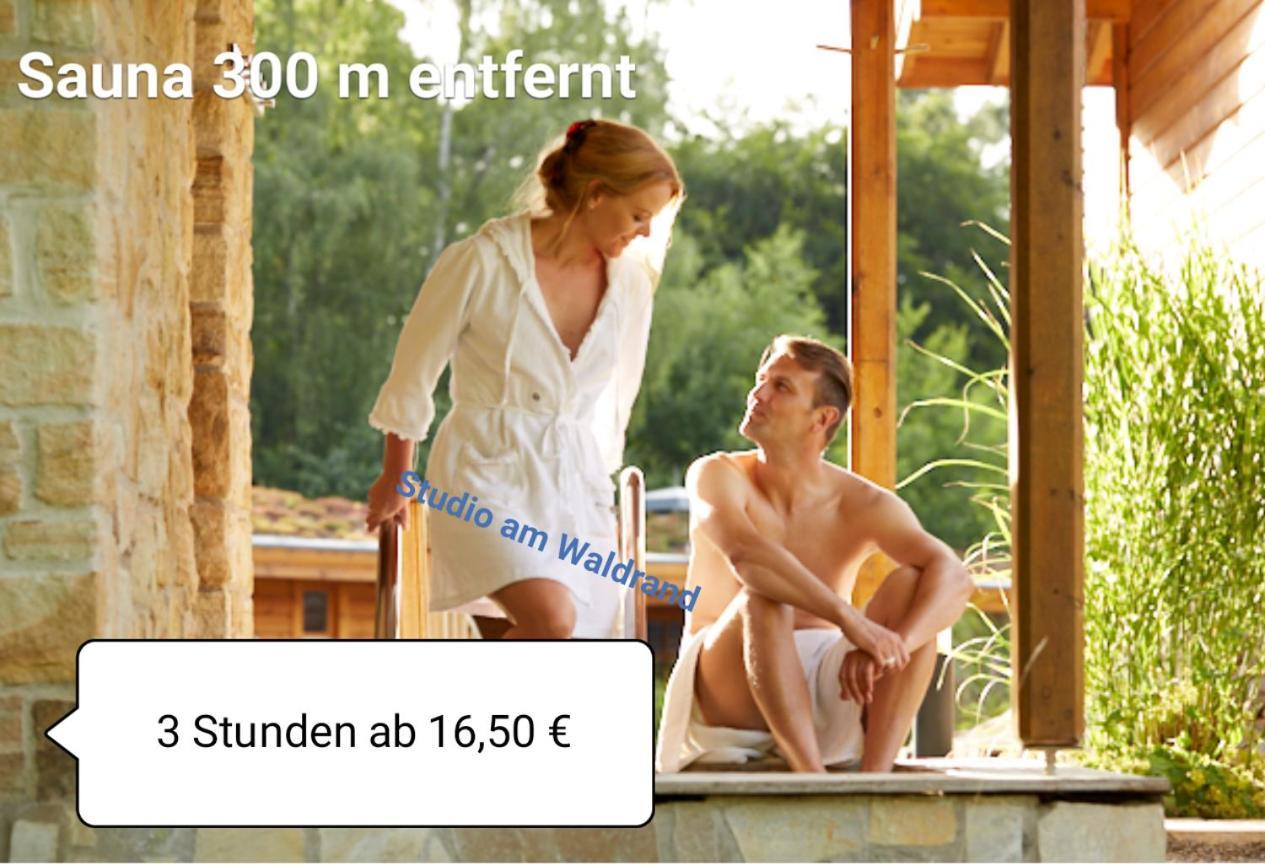 Studio Am Waldrand Wadgassen ภายนอก รูปภาพ